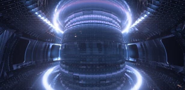 Fusion reactor