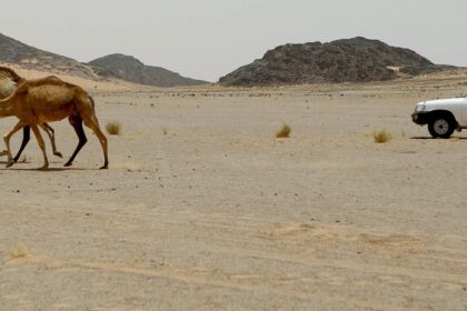 A U.N. ceasefire monitoring team stops on a patrol in the Western Sahara in 2010; 14 years later, the conflict remains militarily stalemated, but Morocco has won diplomatic advantage. (U.N. Photo/Martine Perret/CC License 2.0)